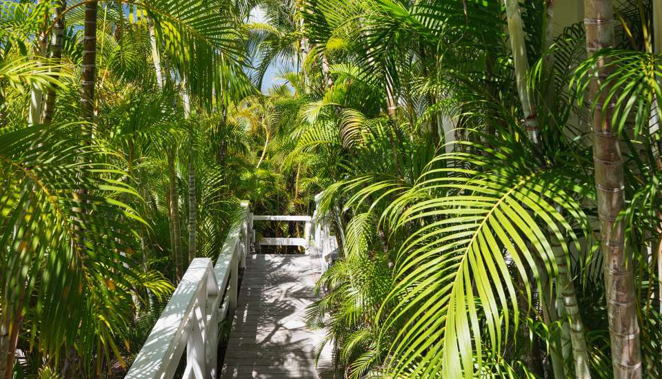 VillaBirdy-StBarth11
