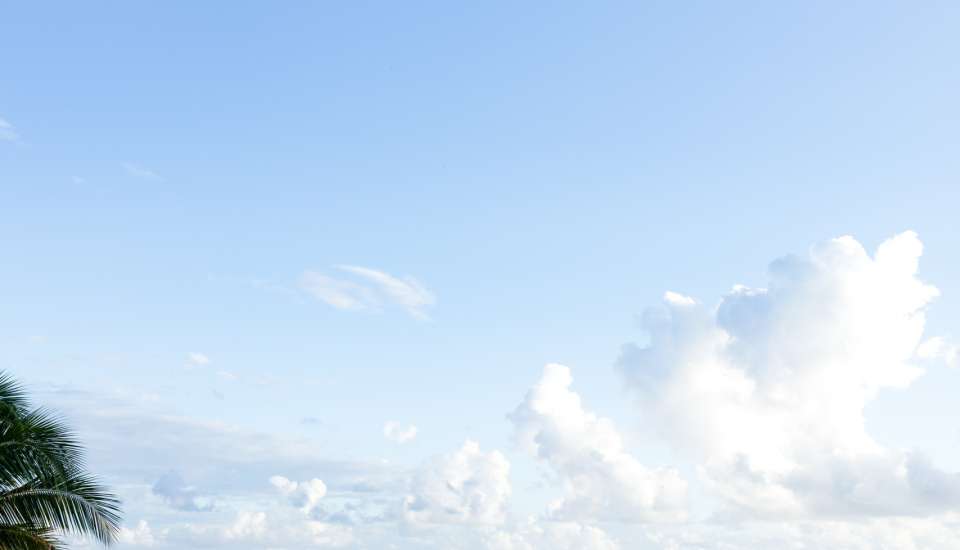 AxelRocks2025_DianeCoriat-19