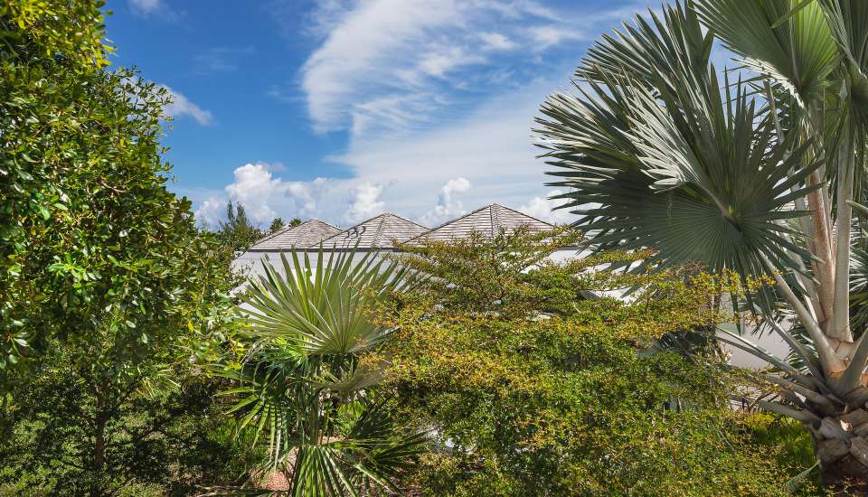 VillaCeledon-StBarth69