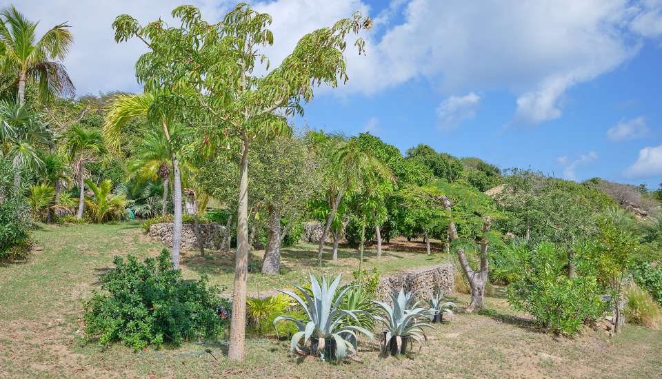 VillaSalineHills-StBarth28