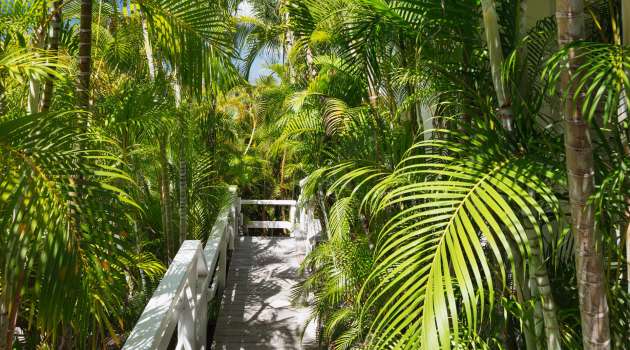 VillaBirdy-StBarth11