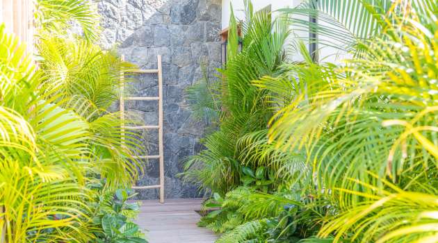 Villa-Cute-StBarth-24