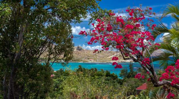 VillaSAS-StBarth23