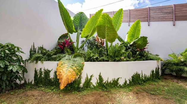 VillaPailleenQueue-StBarth24