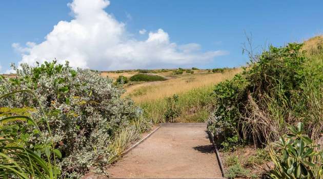 Villa-Borderline-StBarth-4
