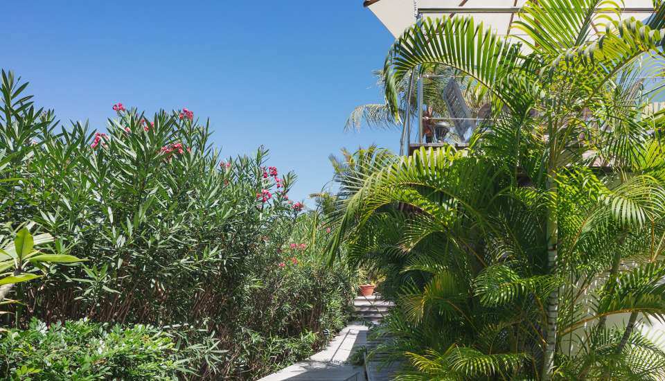 VillaBirdy-StBarth16