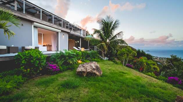 header-CasaTigreCollet67