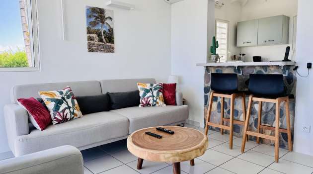 VillaLaMontagne-StBarth4