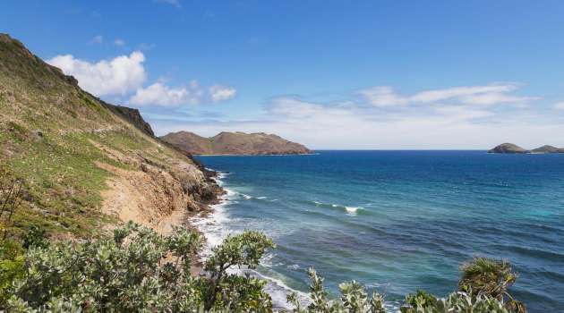 Villa-Little Lataniers-StBarth-18