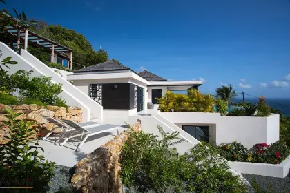 Villa Rose Dog · 2
