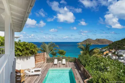 Acai & Art Estate