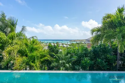 Villa Palm · 5